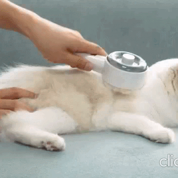 Pet Glow™ — Spazzola Genera Vapore con Tasto Antibatterico — Il tuo tesoro si rilassa mentre lo curi.